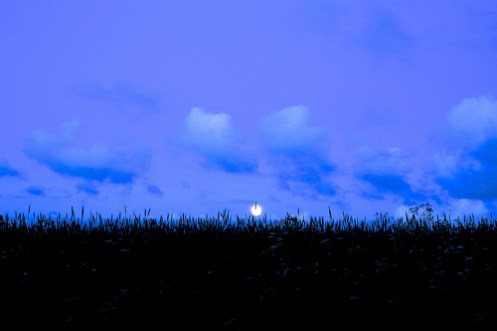 Dansk midtsommarmåne. jpg