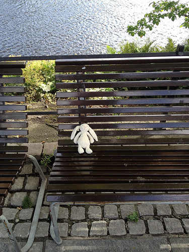 Ensom kanin ved Breiavatnet