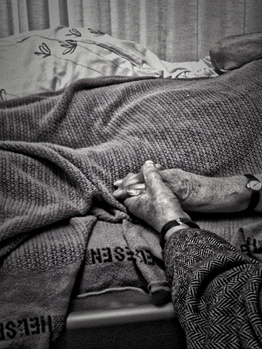 hender. Svigermor og svigerfar