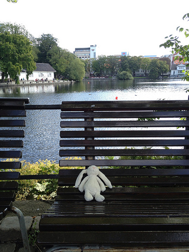 kanin på benk i parken