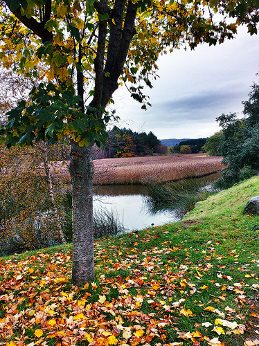 oktober i Sandtangen