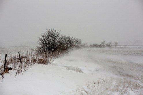 nesten rennedrev obrestad fyr