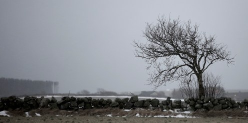 Tre, skodde og snøføyk v Hå gamle