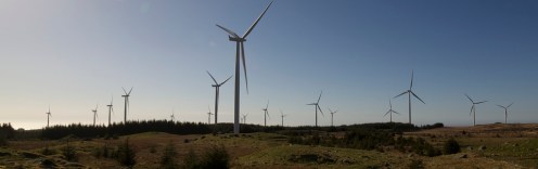 13903520726_246431fca6_b