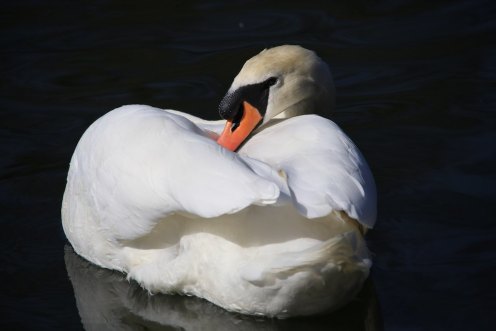 13937135264_4bafbae130_b