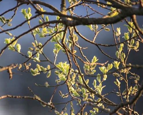 13960033245_ef15442aaf_b