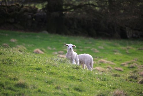 13987181675_f412735056_b