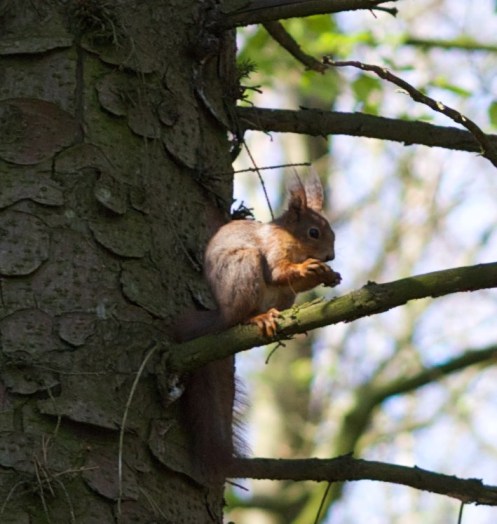 14016306626_2960a85bb8_b