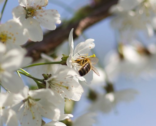 14023728314_171630cd80_b