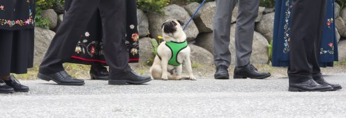 14018214438_e592354b57_b