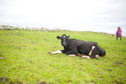 14159779814_61b1da1003_b