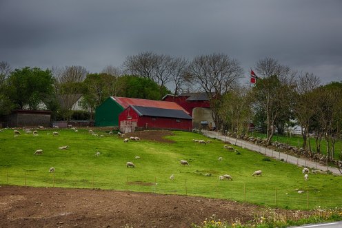 14183654556_2c4de07cd5_b