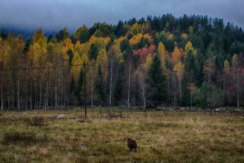 15299819328_7d6b832447_k