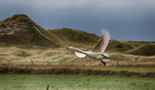 15230456734_25fbf26a2a_k