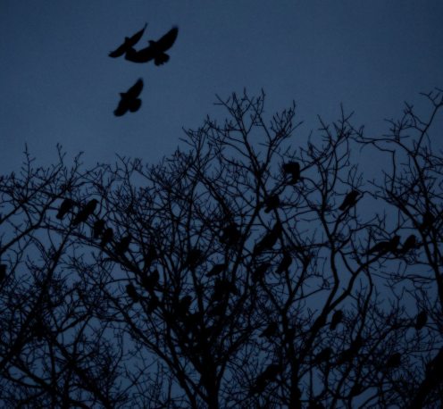 15343295714_e9813ef194_b