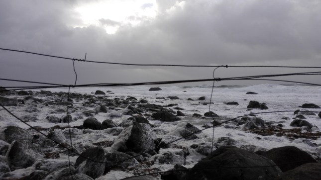 15628070553_15e7b18bbf_o