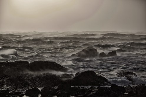 16060006899_1d2a4769ca_o