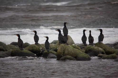 16227287622_6dd05d6382_o