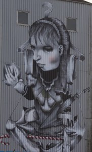 17993835211_0fd8be62dc_o