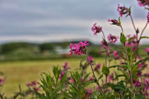 18860117019_60684034a2_o