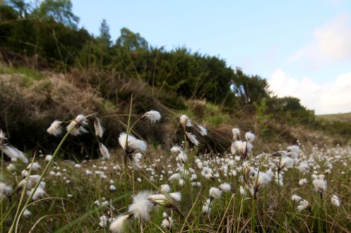 5737821268_982f7d452d_o