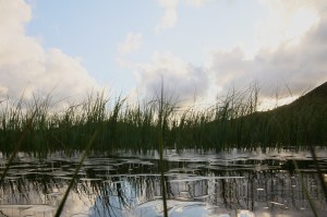 5737821884_3561a680b4_o