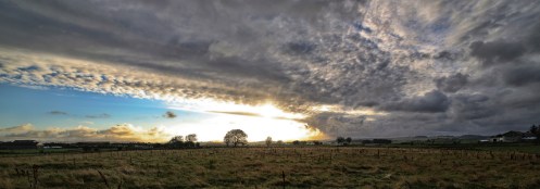 20979232311_3b2b1acbf3_o