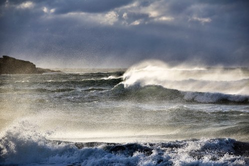 24150234755_b8f73e3c8c_o