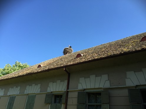 A5F660F4-D50E-41A7-9C21-8261193E328A(1)