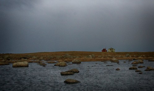 25073907931_21b842200d_o(1)