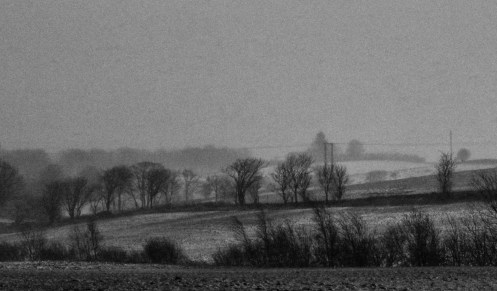 24786917903_c98064e15a_o(1)