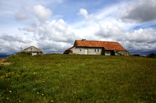 26798740460_2d064a119d_o(1)