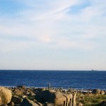 IMG_8912