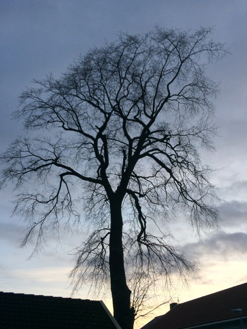 220E44FE-5C05-4E50-A549-B125ADA6E79A