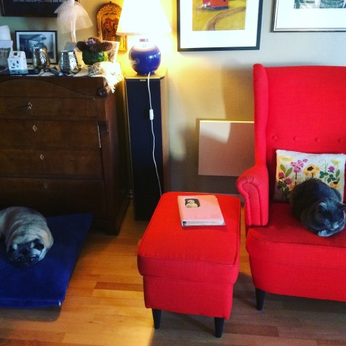 763A051A-C0F1-45E7-B16A-10B1D36B6D31