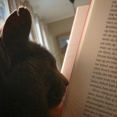 87BB44E2-845B-4BC7-89D1-D21DCD7D22BE