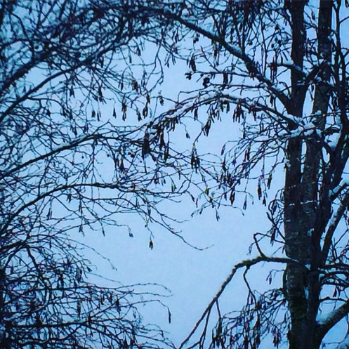 0DBCE4A4-5166-4EB8-B018-85E05E4ED034