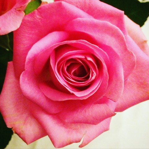 13B31F03-0E3A-40D4-BB90-DD16A5BAF8D1