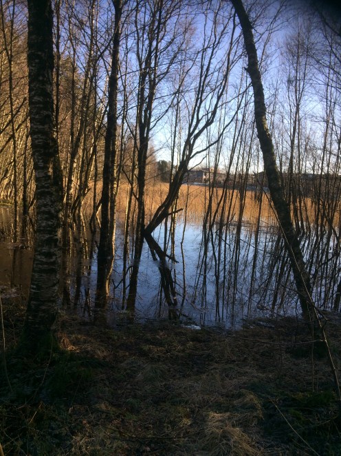 0FC7291A-8BAF-4CB7-8E90-5E4A30441E6E