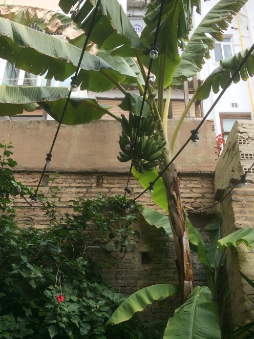 22EA3ECB-556C-4472-AC88-445D2710996F