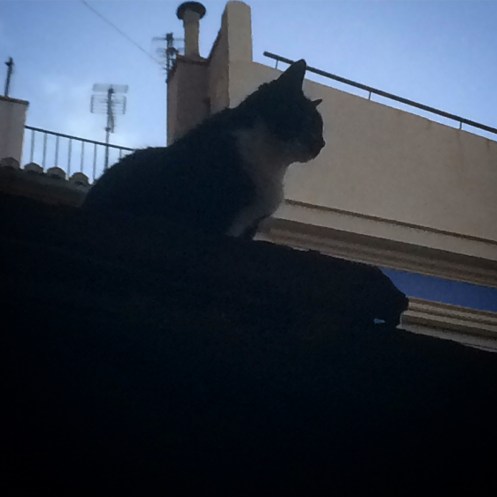 23C8429C-48DA-4BD2-A262-C82B46534EF8