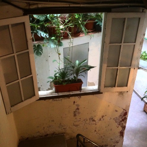 33BEA48E-D685-4C2E-8186-BDA731F3BAA4