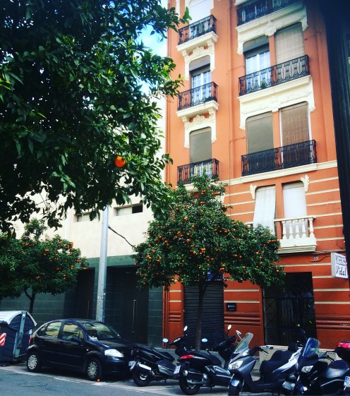 F0D922DA-1ADA-4CF5-862B-0E58B2A60AFB