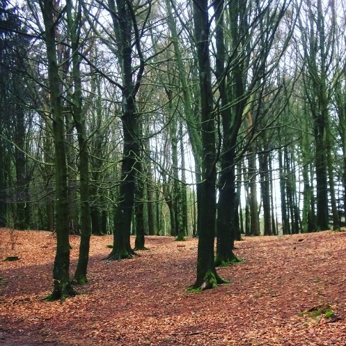 24CFB75D-49D1-49BB-A3D8-81CF5117CF02