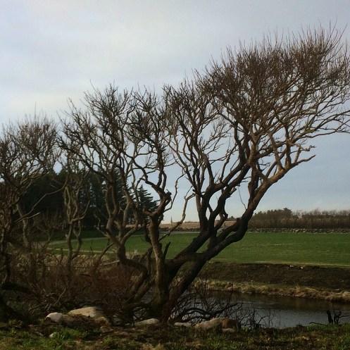 B6769A0E-9C3D-4861-B941-EEEAF89A049B