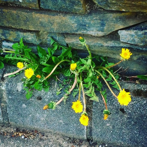 1F3CA16B-8A4F-46F2-9B27-CB5A5EEBBF7D