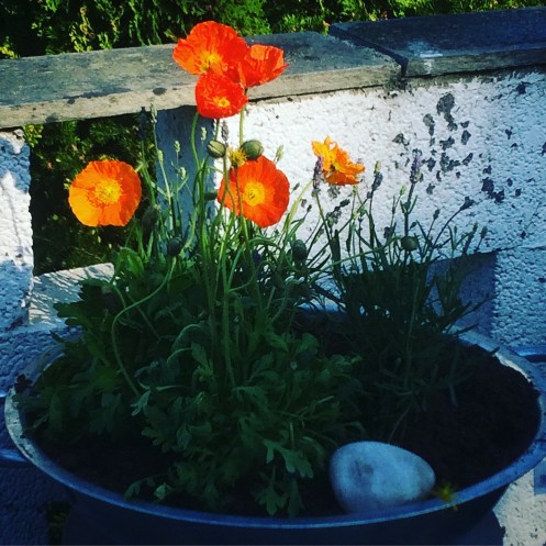 8F6CFFF2-65BD-4727-8C36-BA506D33AD74