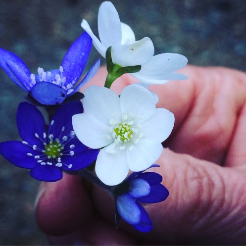 B2CAC71C-BBB6-40E2-8FFE-7A6B8493644F