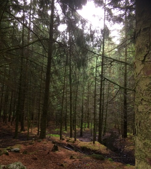 69E16A28-BFEB-4853-9B18-0958C63E1097