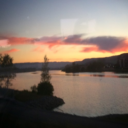 1D3D12B1-28D0-4A0C-AB97-D3D06C030A59